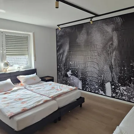 Ferien- Und Monteurwohnung Naehe Koeln Bonn Appartamento