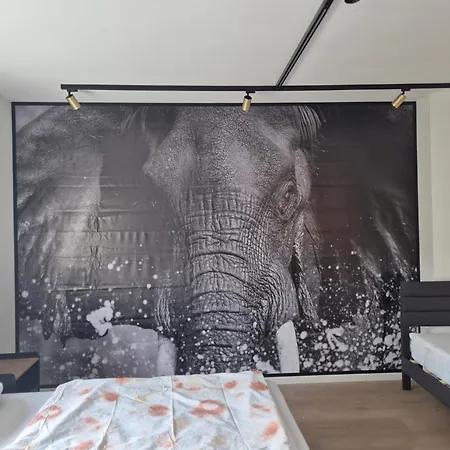 Ferien- Und Monteurwohnung Naehe Koeln Bonn Appartamento *